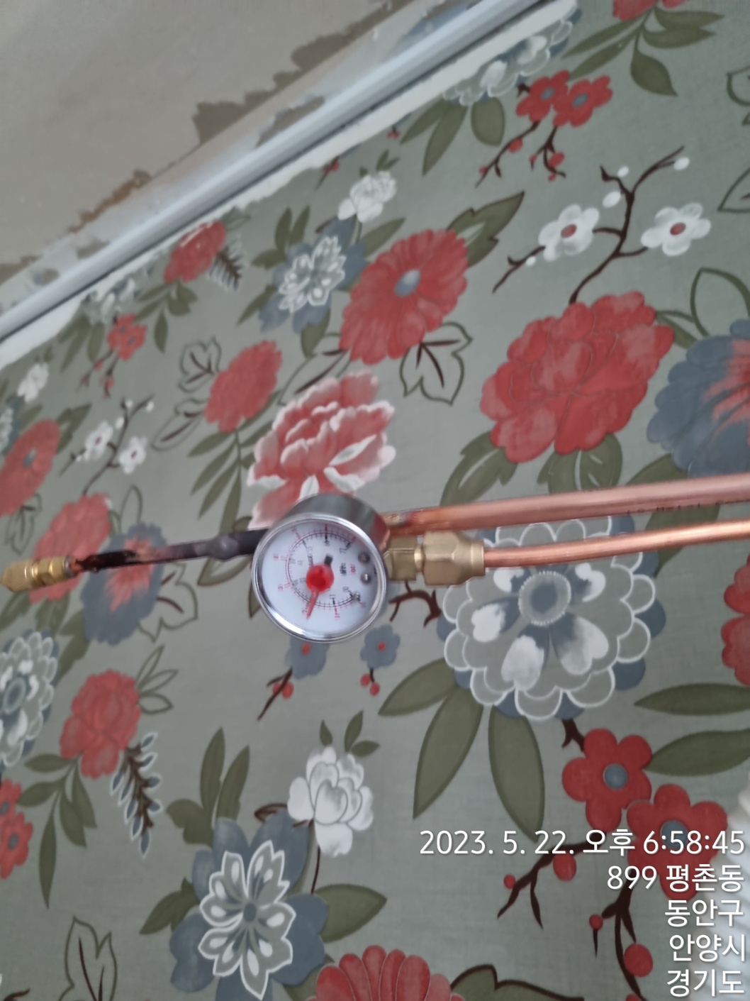 1948697120_wC6UMryO_bb1712575727b46d657d53c5f14ac21046b0ecc4.jpg 이미지크게보기